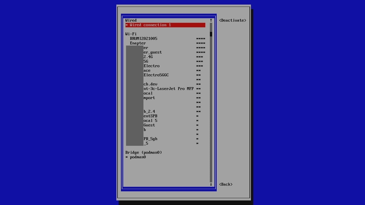 NMTUI Activate Connection Screen